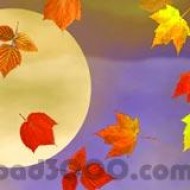 3D Falling Autumn Leaves screenshot